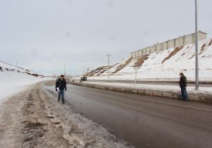 Erzurum'a Mevlana Projesi